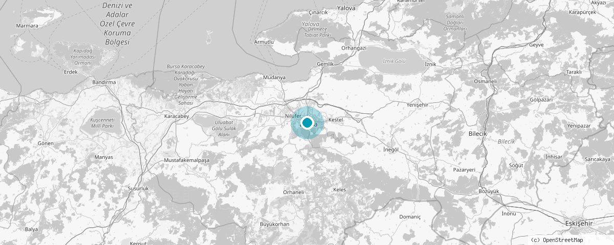Bursa haritası